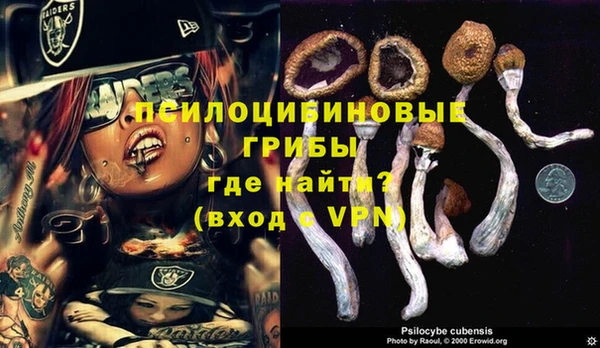 эйфоретик Бугульма