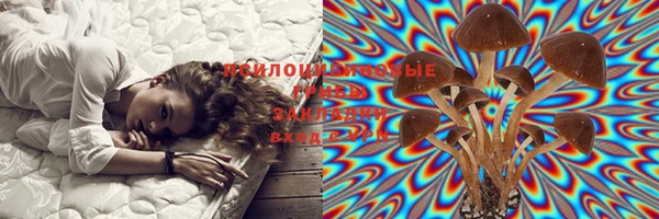 кокаин перу Бородино